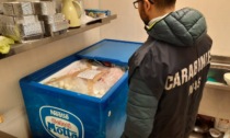 Ristorante da incubo ad Albignasego, sequestrati oltre 100 kg di prodotti pericolosi congelati