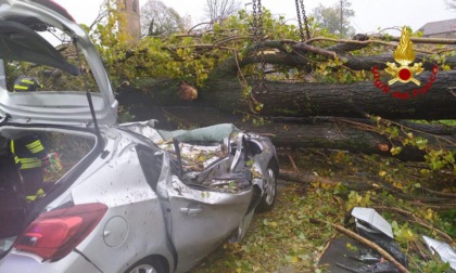 Maltempo, le foto del grosso albero caduto su un'auto: 27enne gravissimo