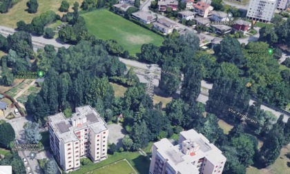 Barriere fonoassorbenti al posto di 119 alberi in via Friburgo: il comitato Stanga dice no!