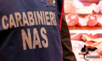 Bilancio 2022 dei Nas di Padova: non solo alimenti e bevande, ma anche sanità  pubblica
