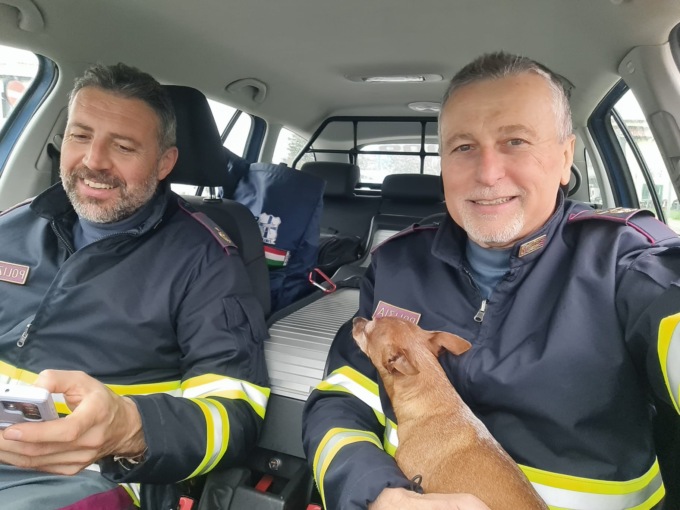 Vaga per le strade di Padova senza meta: la piccola Lucy salvata dalla Polizia
