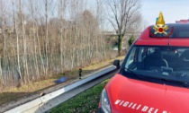Padova, si tuffa nel Brenta per sfuggire agli agenti: 23enne muore annegato