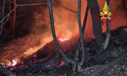 Fiamme in località Valbona a Lozzo Atestino: super lavoro dei Vigili del fuoco per domare l'incendio