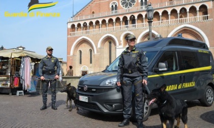 Stazione di Padova, controlli antidroga a febbraio: un arresto, una denuncia e 13 soggetti segnalati