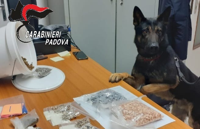 “Tutti fuori dalla classe”: ma il cane Zico blocca una 17enne. Aveva addosso dell’hashish