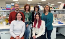 Scoperti a Padova i "messaggeri" che favoriscono la diffusione delle metastasi nei bambini con linfoma aggressivo