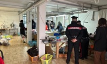 Lavoro nero a Noventa Padovana, denunciati quattro imprenditori cinesi