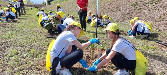 Cittadella, i ragazzi della primaria: “fate come noi, piantate alberi!”