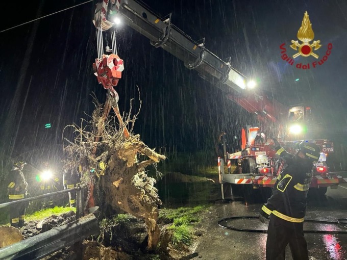 Cade un pioppo sulla tubazione, fuga di gas a Vo’ Vecchio: intervengono i Vigili del fuoco