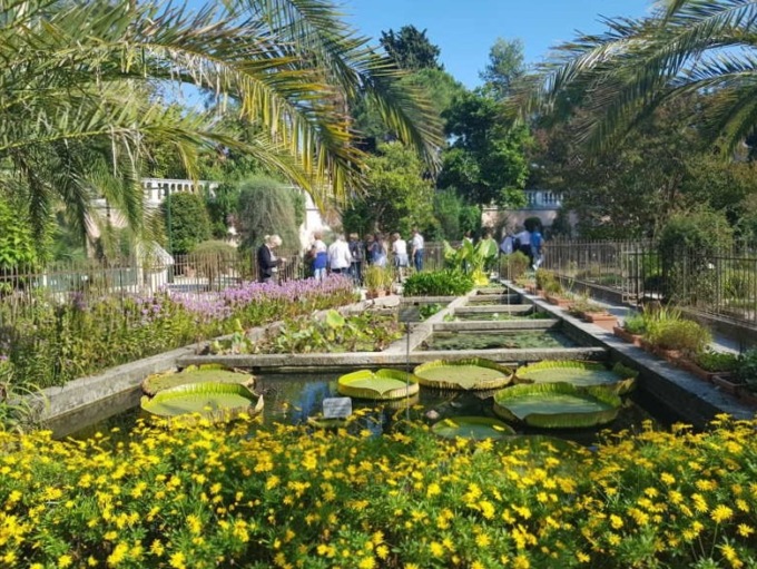 Cosa fare a Padova e provincia nel weekend: gli eventi di sabato 20 e domenica 21 maggio 2023