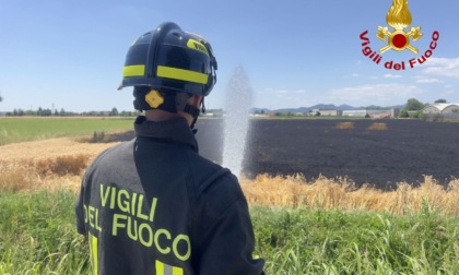 L'incendio del campo agricolo ad Albignasego e l'alta colonna di fumo visibile a distanza