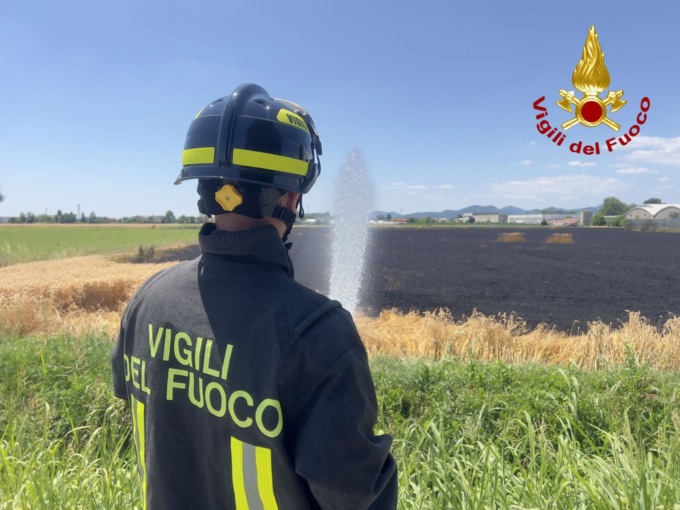 L’incendio del campo agricolo ad Albignasego e l’alta colonna di fumo visibile a distanza