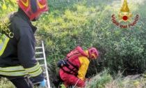 Santa Giustina in Colle, macabra scoperta: anziana trovata morta nel fosso