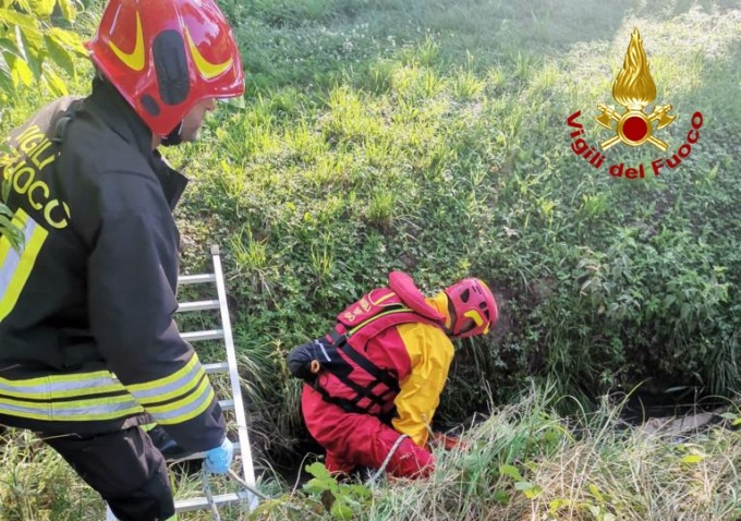 Santa Giustina in Colle, macabra scoperta: anziana trovata morta nel fosso