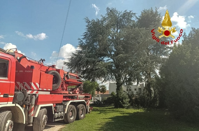 Maltempo a Massanzago, grosso albero colpito da un fulmine: tranciati i cavi elettrici e telefonici