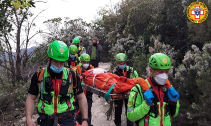 Cercatore di funghi di Este scivola  e sbatte su un sasso in Cadore: portato in ospedale