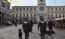 Controlli antidroga nel quartiere Stanga a Padova: un arresto e 17 segnalazioni