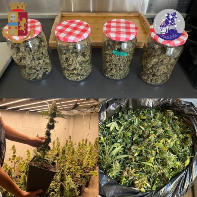 L’insospettabile magazziniere con il pollice “verde cannabis”: così arrotondava lo stipendio
