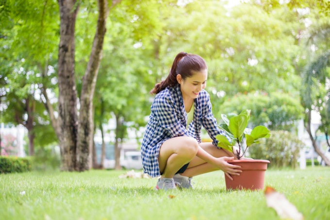 La Primavera bussa alle porte: come preparare il tuo giardino