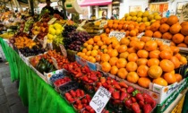 I mercati settimanali in provincia di Padova di giovedì 21 marzo 2024