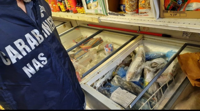 Sequestrati due quintali e mezzo di carne positiva alla peste suina in un negozio di Padova