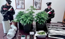 Litigano coi vicini e intervengono i carabinieri: poi la scoperta, in casa hanno una serra di marijuana