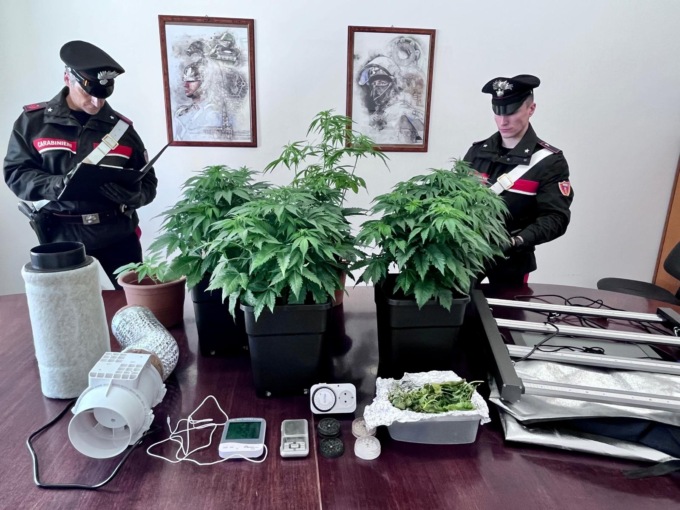 Litigano coi vicini e intervengono i carabinieri: poi la scoperta, in casa hanno una serra di marijuana