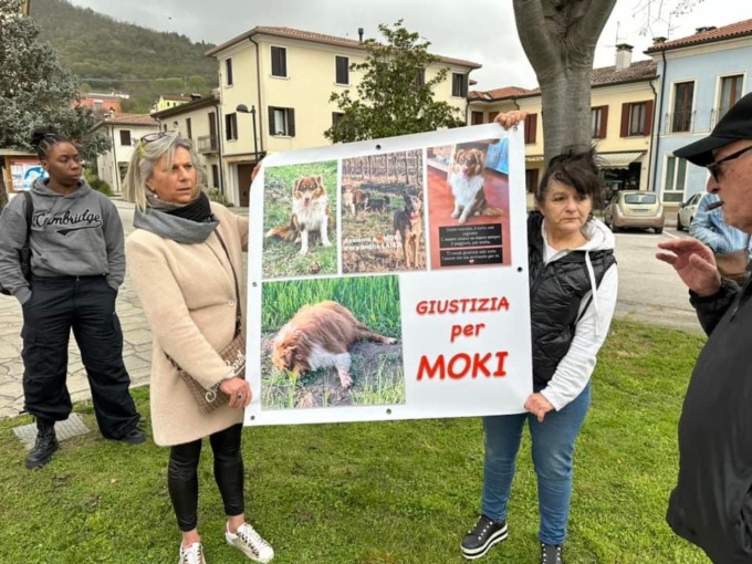 “Giustizia per Mocky”, un centinaio di persone e un’asinella a Lozzo Atestino per il cane ucciso a fucilate