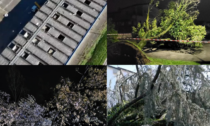 Tromba d'aria a Fontaniva e Carmignano di Brenta: tetti scoperchiati e alberi abbattuti, chiesto lo stato d'emergenza