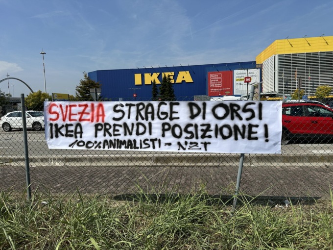Blitz animalista a Padova, lo striscione: “Svezia strage di orsi, Ikea prendi posizione”