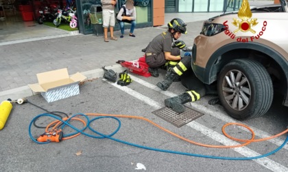 Accende la macchina e sente miagolare: c'era un gatto incastrato nel motore