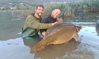 Pescata una carpa da più di 35 chili nel lago d’Endine, due padovani stabiliscono il record italiano