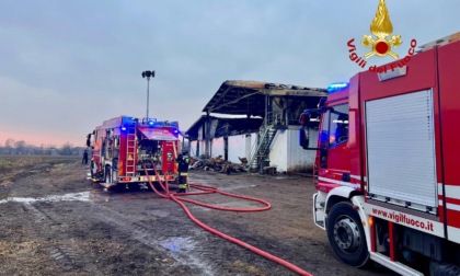 Incendio in un'azienda agricola di Limena, morti diversi bovini