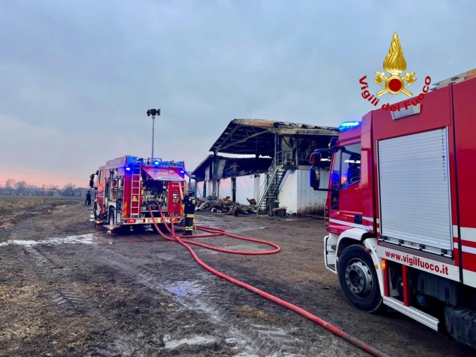 Incendio in un’azienda agricola di Limena, morti diversi bovini