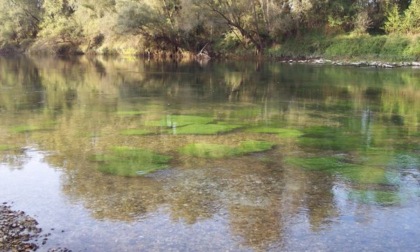 Progetto "Waste Reduce”, a Carmignano di Brenta secondo meeting per ridurre l’impatto dei rifiuti nelle aree protette