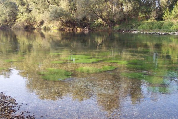 Progetto “Waste Reduce”, a Carmignano di Brenta secondo meeting per ridurre l’impatto dei rifiuti nelle aree protette