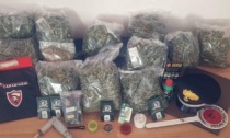 Riceve un pacco sospetto e chiama i carabinieri: dentro c'erano 9 chili di marijuana