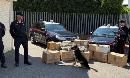 Maxi sequestro di marijuana nel padovano: 62 kg trovati in un garage, arrestati padre e figlia