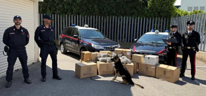 Maxi sequestro di marijuana nel padovano: 62 kg trovati in un garage, arrestati padre e figlia