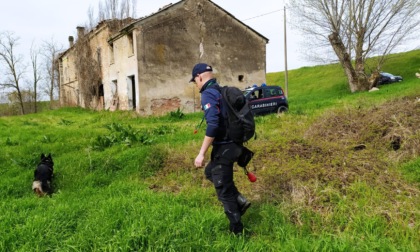 "C'è acqua nera nei canali", intervengono i forestali e scoprono uno sversamento di digestato