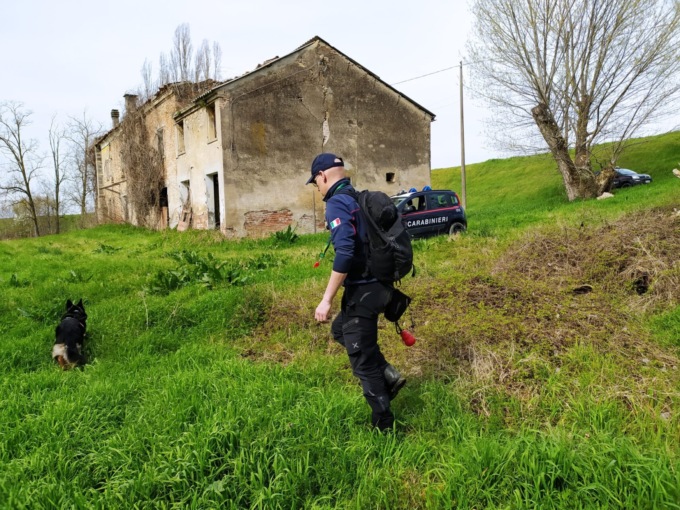 “C’è acqua nera nei canali”, intervengono i forestali e scoprono uno sversamento di digestato