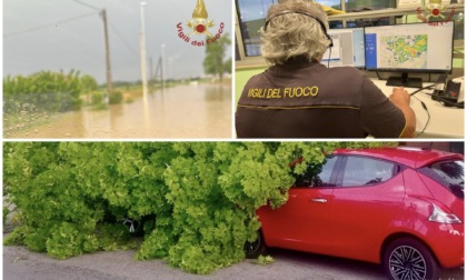 Maltempo in provincia di Padova: più di 20 interventi dei vigili del fuoco nella Bassa
