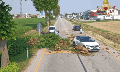 Albero cade in strada a Rubano e colpisce tre veicoli in transito