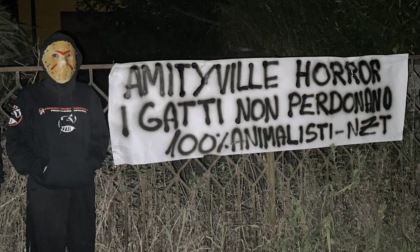 Nella "Amityville horror" del cittadellese i gatti non perdonano
