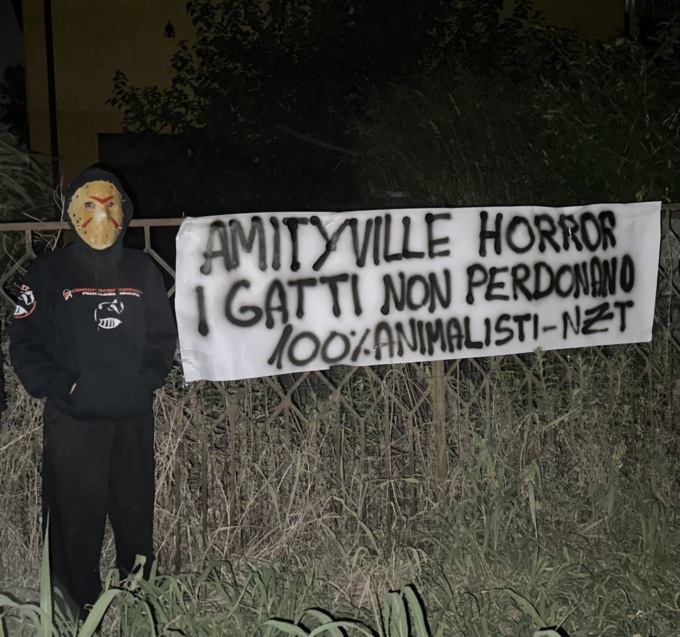 Gli animalisti: “Nella Amityville horror del cittadellese i gatti non perdonano”. La replica degli interessati