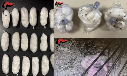 Smantellata banda italo-africana che spacciava cocaina, hashish e marijuana in provincia di Padova