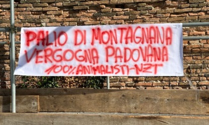 Al Palio di Montagnana annunciano la presenza anche i “Centopercentoanimalisti”