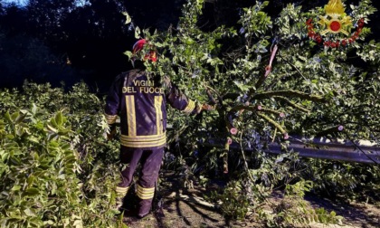 Ancora una giornata di maltempo in provincia di Padova: più di 100 segnalazioni ai vigili del fuoco