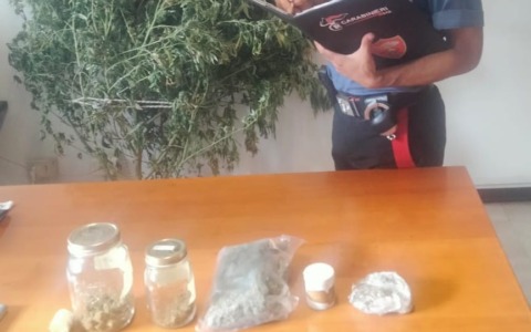 Blitz in casa di un 32enne, trovato con due piante di marijuana e hashish