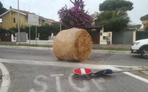 Balla di fieno sbarra la strada, motociclista la centra in pieno